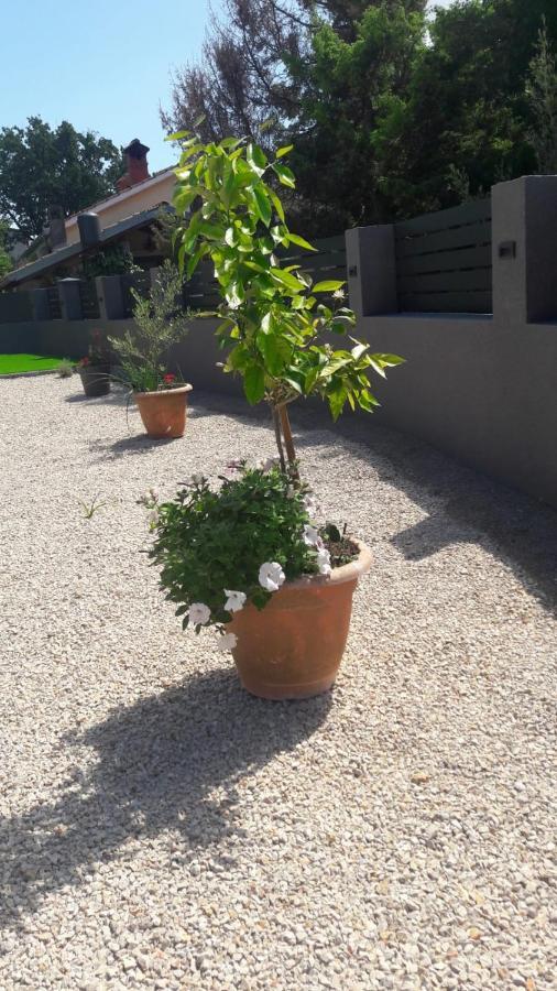 Apartman Nicolle Brzac Esterno foto